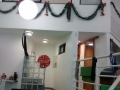 foto1 (1)
